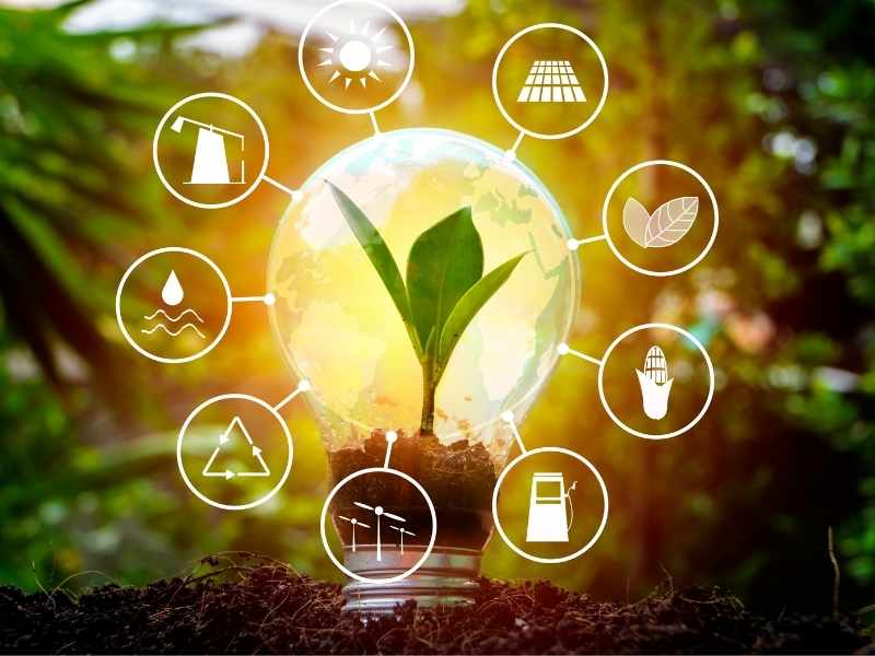 una planta dentro de una bombilla iluminada que representa los beneficios de las energías limpias