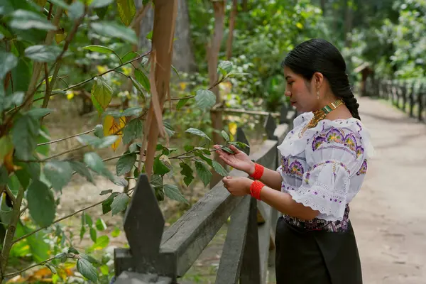 vivir en Guatemala en 2025