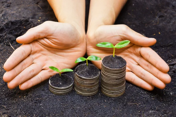 Guatemala y su crecimiento económico sostenible